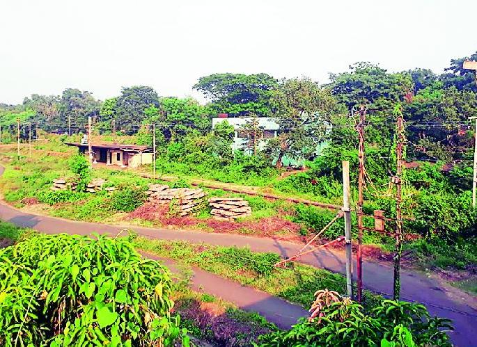 Ajni forest land for development of public facilities said high court nagpur bench | अजनी वनाची जमीन सार्वजनिक सुविधा विकसित करण्यासाठी : उच्च न्यायालय