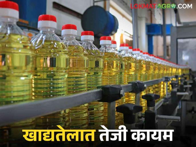 Edible Oil: Impact of Import Duty Increase on Edible Oil; Read in detail what the 'rate' is getting | Edible Oil : आयात शुल्क वाढीचा खाद्यतेलावर परिणाम; काय 'दर' मिळत आहे ते वाचा सविस्तर Edible Oil: Impact of Import Duty Increase on Edible Oil; Read in detail what the 'rate' is getting | Edible Oil : आयात शुल्क वाढीचा खाद्यतेलावर परिणाम; काय 'दर' मिळत आहे ते वाचा सविस्तर