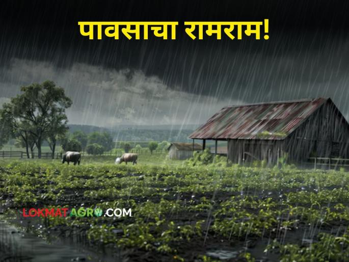 Maharashtra Weather : Where and how much rain will fall in the state? What are weather warnings? | Maharashtra Weather : राज्यात कुठे आणि किती पडणार पाऊस? काय आहेत हवामानाचे इशारे? Maharashtra Weather : Where and how much rain will fall in the state? What are weather warnings? | Maharashtra Weather : राज्यात कुठे आणि किती पडणार पाऊस? काय आहेत हवामानाचे इशारे?