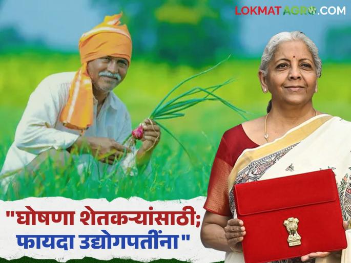 Budget 2025 'Announcements for farmers in the Union Budget benefit industrialists' Criticism from political leaders | Budget 2025 : 'केंद्रीय अर्थसंकल्पातील शेतकऱ्यांच्या घोषणा उद्योगपतींना फायद्याच्या'; राजकीय नेत्यांकडून टीका