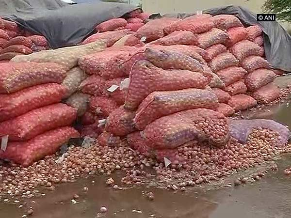 Kangawa and conspiracy behind onion export ban; Farmers' Union Accused | कांदा निर्यातबंदी मागे कांगावा आणि षडयंत्र; शेतकरी संघटनांनी केला आरोप Kangawa and conspiracy behind onion export ban; Farmers' Union Accused | कांदा निर्यातबंदी मागे कांगावा आणि षडयंत्र; शेतकरी संघटनांनी केला आरोप