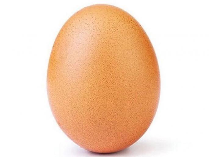 This 19-year-old Indian boy made The Egg defeat Kylie Jenner in viral Instagram photo challenge | अंड्याच्या फोटोचा इन्स्टाग्रामवर विश्वविक्रम! This 19-year-old Indian boy made The Egg defeat Kylie Jenner in viral Instagram photo challenge | अंड्याच्या फोटोचा इन्स्टाग्रामवर विश्वविक्रम!