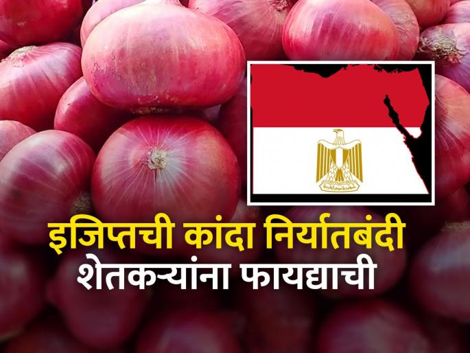 Egypt banned onion export for three months will benefited onion prices in India | इजिप्तने कांदा निर्यात रोखल्याने देशातील कांदा उत्पादकांना दिलासा Egypt banned onion export for three months will benefited onion prices in India | इजिप्तने कांदा निर्यात रोखल्याने देशातील कांदा उत्पादकांना दिलासा