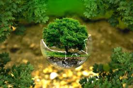 coronavirus : Ecological intelligence must know this concept | कोरोनाचं आक्रमण ? इकॉलॉजिकल इंटिलिजन्स ही संकल्पना माहित आहे का ? coronavirus : Ecological intelligence must know this concept | कोरोनाचं आक्रमण ? इकॉलॉजिकल इंटिलिजन्स ही संकल्पना माहित आहे का ?
