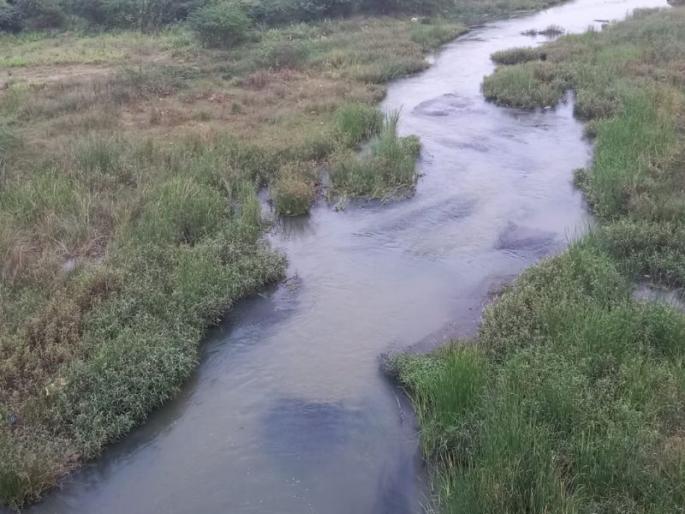 'Get well soon' will give roses to the administration for Erai river deepening | ‘गेट वेल सून’ इरई खोलीकरणासाठी प्रशासनाला देणार गुलाब पुष्प 'Get well soon' will give roses to the administration for Erai river deepening | ‘गेट वेल सून’ इरई खोलीकरणासाठी प्रशासनाला देणार गुलाब पुष्प