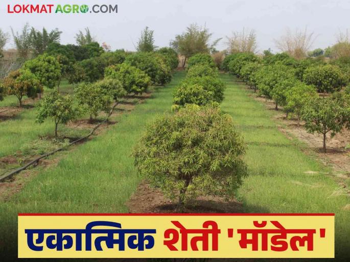 Integrated Farming: Integrated Farming Method Research 'Model'; Read in detail how farmers will benefit financially | Integrated Farming : एकात्मिक शेती पद्धती संशोधन 'मॉडेल'; शेतकऱ्यांना होणार आर्थिक नफा कसा ते वाचा सविस्तर