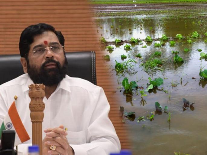 Maharashtra CM Eknath Shinde declared that Farmers affected by heavy rains or flood will also get the benefit of incentive subsidy scheme | CM Eknath Shinde, Maharashtra Farmers: अतिवृष्टीग्रस्त शेतकऱ्यांनाही मिळणार प्रोत्साहनपर अनुदान योजनेचा लाभ