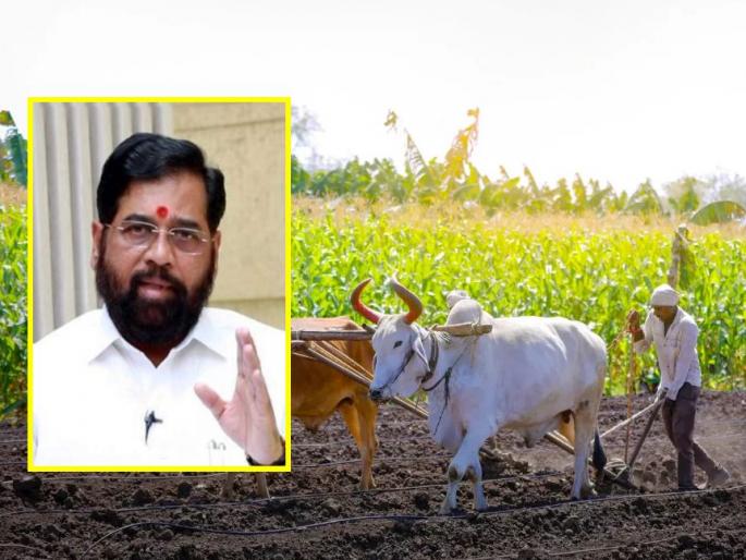 Maharashtra Cabinate Meeting: 86 lakh farmers in the state will get 2000rs 'bonus' before Diwali; The first installment of Namo Shetkari Mahasanman will come into the account | राज्यातील ८६ लाख शेतकऱ्यांना दिवाळीपूर्वी 'बोनस' मिळणार; नमो शेतकरी महासन्मानचा पहिला हप्ता खात्यात येणार Maharashtra Cabinate Meeting: 86 lakh farmers in the state will get 2000rs 'bonus' before Diwali; The first installment of Namo Shetkari Mahasanman will come into the account | राज्यातील ८६ लाख शेतकऱ्यांना दिवाळीपूर्वी 'बोनस' मिळणार; नमो शेतकरी महासन्मानचा पहिला हप्ता खात्यात येणार