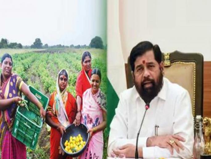dcm Eknath Shinde assured about the Ladki Bahin scheme | हा त्यांच्या लाडक्या भावाचा शब्द...; लाडकी बहीण योजनेबाबत एकनाथ शिंदेंनी केलं आश्वस्त dcm Eknath Shinde assured about the Ladki Bahin scheme | हा त्यांच्या लाडक्या भावाचा शब्द...; लाडकी बहीण योजनेबाबत एकनाथ शिंदेंनी केलं आश्वस्त