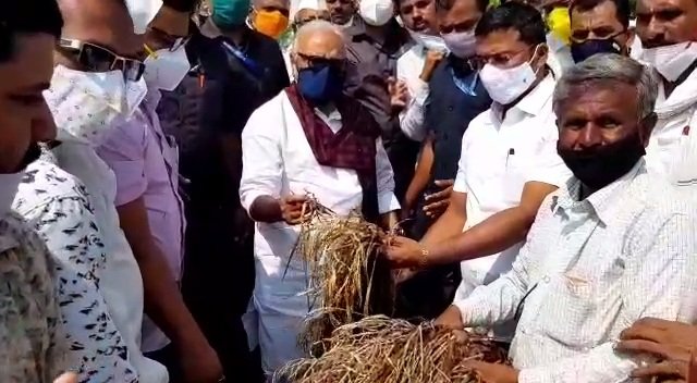 Free foodgrains will be distributed to the needy in the flood-hit areas | पूरग्रस्त भागातील निराधारांना आधार, मोफत धान्य वाटप होणार Free foodgrains will be distributed to the needy in the flood-hit areas | पूरग्रस्त भागातील निराधारांना आधार, मोफत धान्य वाटप होणार