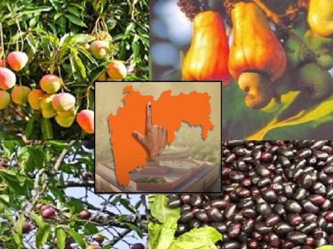 Chakarmanee will have to spend this summer in Mumbai Due to the elections | चाकरमानी कोकणी मेव्याला मुकणार?, यावर्षीचा उन्हाळा मुंबईतच 