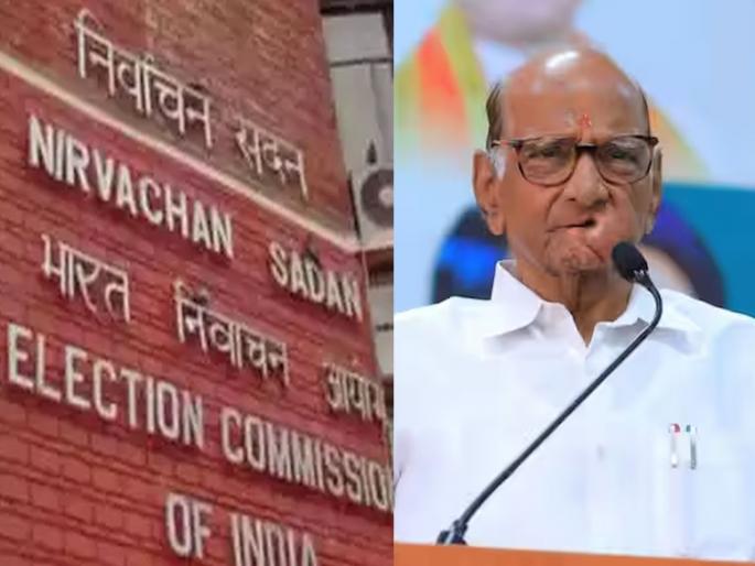 Turn off the sign of 'Pipani' during the Legislative Assembly election; Sharad Pawar's letter to the Election Commission | लोकसभेवेळचा 'पिपाणी'चा आवाज, विधानसभेवेळी बंद करा; शरद पवारांचे निवडणूक आयोगाला पत्र Turn off the sign of 'Pipani' during the Legislative Assembly election; Sharad Pawar's letter to the Election Commission | लोकसभेवेळचा 'पिपाणी'चा आवाज, विधानसभेवेळी बंद करा; शरद पवारांचे निवडणूक आयोगाला पत्र