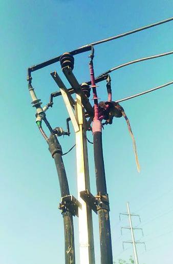 Turned off the power supply to save the monkey | माकडाला वाचविण्यासाठी बंद केला वीज पुरवठा Turned off the power supply to save the monkey | माकडाला वाचविण्यासाठी बंद केला वीज पुरवठा