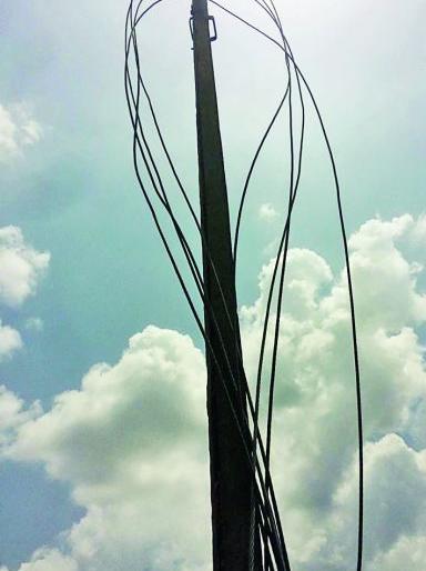 74 kilometers electric wire stolen | ७४ किलोमीटर लांबीच्या वीजवाहिन्या लंपास 74 kilometers electric wire stolen | ७४ किलोमीटर लांबीच्या वीजवाहिन्या लंपास