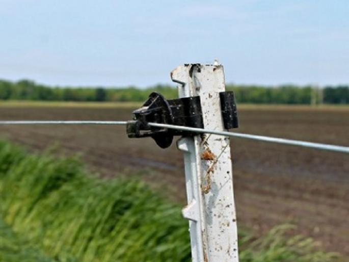 Crackdown on electricity thieves, unauthorized electricity consumption of 83 lakhs revealed in a single day | Pune: वीजचोरांना दणका, एकाच दिवशी ८३ लाखांचा अनधिकृत वीजवापर उघड Crackdown on electricity thieves, unauthorized electricity consumption of 83 lakhs revealed in a single day | Pune: वीजचोरांना दणका, एकाच दिवशी ८३ लाखांचा अनधिकृत वीजवापर उघड