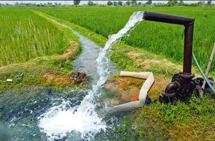4 lakh 34 thousand agricultural pump connections in four years | चार वर्षात ४ लाख ३४ हजार कृषीपंप वीज जोडण्या