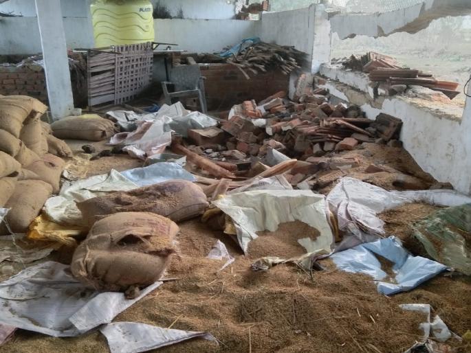 A herd of elephants roaring in Barabhati Shetshiwar Vandalism of pack house and poultry farm, destruction of paddy | बाराभाटी शेतशिवारात हत्तीच्या कळपाचा धुमाकूळ; पॅक हाउस व पोल्ट्री फार्मची तोडफोड, धानाची नासाडी A herd of elephants roaring in Barabhati Shetshiwar Vandalism of pack house and poultry farm, destruction of paddy | बाराभाटी शेतशिवारात हत्तीच्या कळपाचा धुमाकूळ; पॅक हाउस व पोल्ट्री फार्मची तोडफोड, धानाची नासाडी