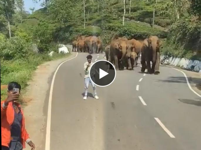 young boys were taking selfie in front of elephants group shocking incident happened video goes viral on internet | हत्तींच्या कळपासमोर घेत होते सेल्फी, संतापलेल्या हत्तींनी घेतला असा बदला की... young boys were taking selfie in front of elephants group shocking incident happened video goes viral on internet | हत्तींच्या कळपासमोर घेत होते सेल्फी, संतापलेल्या हत्तींनी घेतला असा बदला की...