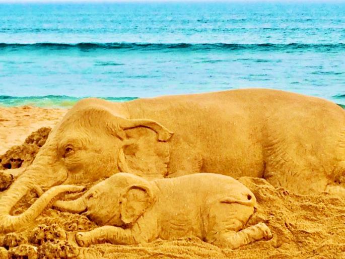 Kerala elephant death: Sudarsan Pattnaik condemns cruel act with sand art | Kerala Elephant Death: तिच्या डोळ्यातील वेदना अस्वस्थ करेल; हत्तीणीच्या हत्येचा वाळूशिल्पातून निषेध Kerala elephant death: Sudarsan Pattnaik condemns cruel act with sand art | Kerala Elephant Death: तिच्या डोळ्यातील वेदना अस्वस्थ करेल; हत्तीणीच्या हत्येचा वाळूशिल्पातून निषेध