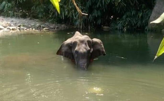 Only if humanity survives will we survive! | माणुसकी टिकली तरच आपणही टिकून राहू! Only if humanity survives will we survive! | माणुसकी टिकली तरच आपणही टिकून राहू!