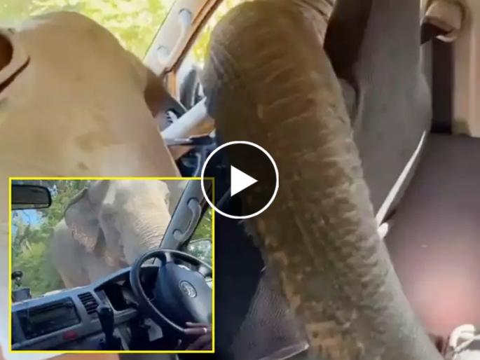 angry elephant smashes touriest car window in search of food sri lanka video goes vural on social media | भुकेल्या हत्तीनं झाडाझुडपातून धावत येत पर्यटकांची गाडी अडवली, अन्...; VIDEO पाहून तुमच्याही अंगावर शराहा येईल