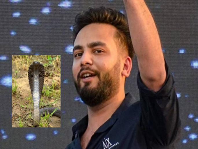 The snakes seized by Elvish Yadav's companions have no venom glands, no teeth | एल्विश यादवच्या साथीदारांकडून जप्त केलेल्या सापांना विष ग्रंथी, दात नाहीत The snakes seized by Elvish Yadav's companions have no venom glands, no teeth | एल्विश यादवच्या साथीदारांकडून जप्त केलेल्या सापांना विष ग्रंथी, दात नाहीत