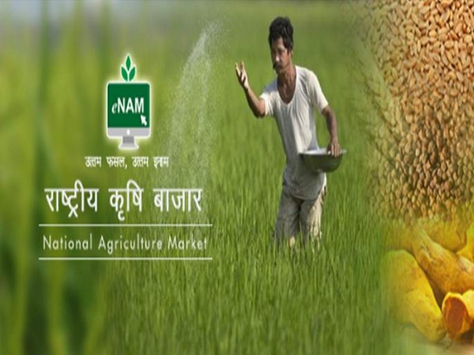 Fuzz of e-name scheme in the market committee; Auctions are held in the traditional bid method | बाजार समित्यात ई-नाम योजनेचा फज्जा; पारंपरिक बोली पद्धतीनेच होतात लिलाव