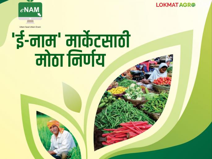 e nam Yojana : This is a new decision in the state for the 'National Agricultural Market' scheme; Read in detail | e nam Yojana : 'राष्ट्रीय कृषी बाजार' योजनेसाठी राज्यात हा नवीन निर्णय; वाचा सविस्तर e nam Yojana : This is a new decision in the state for the 'National Agricultural Market' scheme; Read in detail | e nam Yojana : 'राष्ट्रीय कृषी बाजार' योजनेसाठी राज्यात हा नवीन निर्णय; वाचा सविस्तर