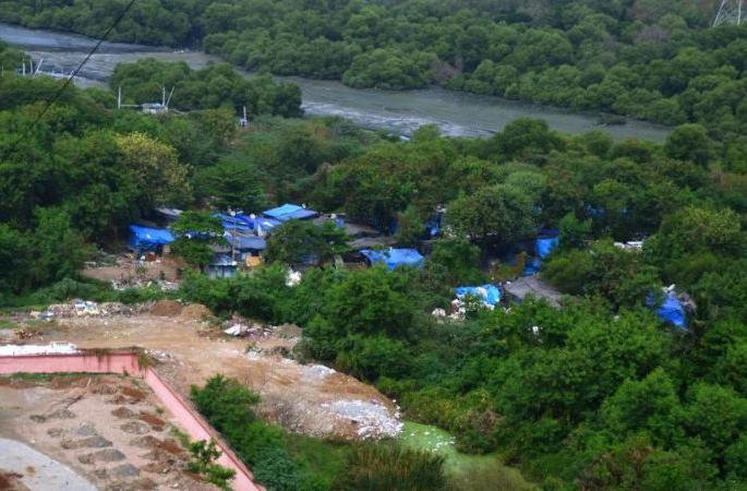 Encroachment over 61 thousand hectares of forest in the state | राज्यातील ६१ हजार हेक्टर वनक्षेत्रावर अतिक्रमण