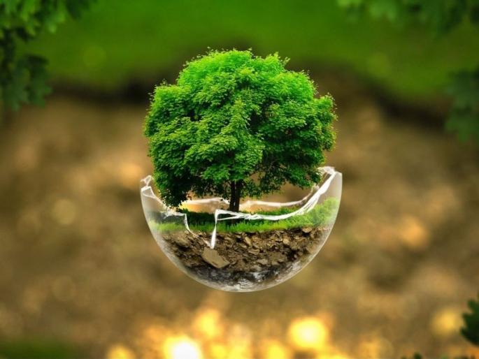 Opinion - Donate 'vote' to the party working for the environment | दृष्टिकोन - पर्यावरणासाठी काम करणाऱ्या पक्षालाच ‘मत’ दान करा Opinion - Donate 'vote' to the party working for the environment | दृष्टिकोन - पर्यावरणासाठी काम करणाऱ्या पक्षालाच ‘मत’ दान करा