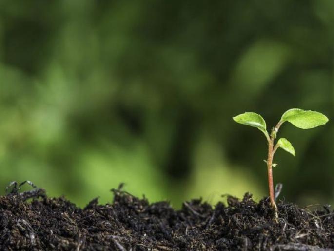 Government's always neglecting the environment | सरकारचे पर्यावरणाकडे कायमच दुर्लक्ष; माधव गाडगीळ यांच्या सूचनांकडेही काणाडोळा Government's always neglecting the environment | सरकारचे पर्यावरणाकडे कायमच दुर्लक्ष; माधव गाडगीळ यांच्या सूचनांकडेही काणाडोळा