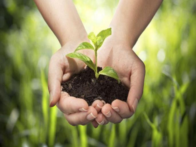 importance of environmental education and awareness | पर्यावरणशास्त्राचे शिक्षण म्हणजे नुसते घोका व ओकाच का? importance of environmental education and awareness | पर्यावरणशास्त्राचे शिक्षण म्हणजे नुसते घोका व ओकाच का?