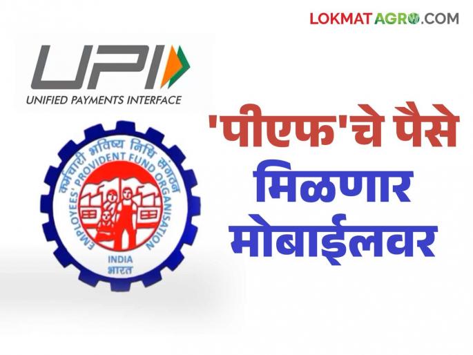 Now withdrawing PF will be easy; You can withdraw money on your mobile through UPI | आता पीएफ काढणे होणार सोपे; युपीआयद्वारे तुमच्या मोबाईलवरच काढता येणार पैसे Now withdrawing PF will be easy; You can withdraw money on your mobile through UPI | आता पीएफ काढणे होणार सोपे; युपीआयद्वारे तुमच्या मोबाईलवरच काढता येणार पैसे