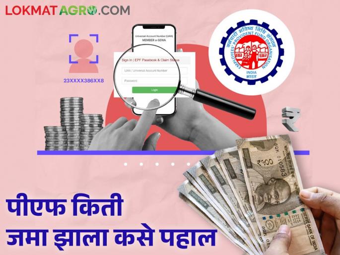 Find out how much interest you will get on PF amount | पीएफच्या व्याजदरात वाढ; जाणून घ्या.. नवीन दराने किती मिळेल व्याज?