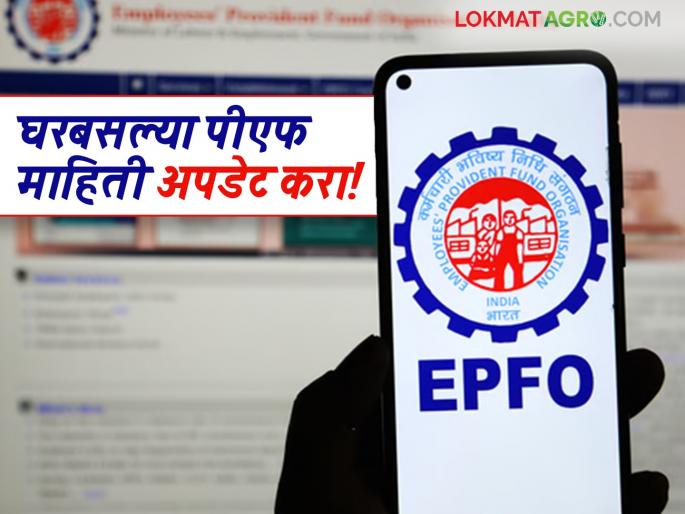 Latest News EPFO Online Update Now update your personal information in EPFO from home, know the details | EPFO Update : आता घरबसल्या EPFO मध्ये वैयक्तिक अपडेट करा, जाणून घ्या सविस्तर  Latest News EPFO Online Update Now update your personal information in EPFO from home, know the details | EPFO Update : आता घरबसल्या EPFO मध्ये वैयक्तिक अपडेट करा, जाणून घ्या सविस्तर