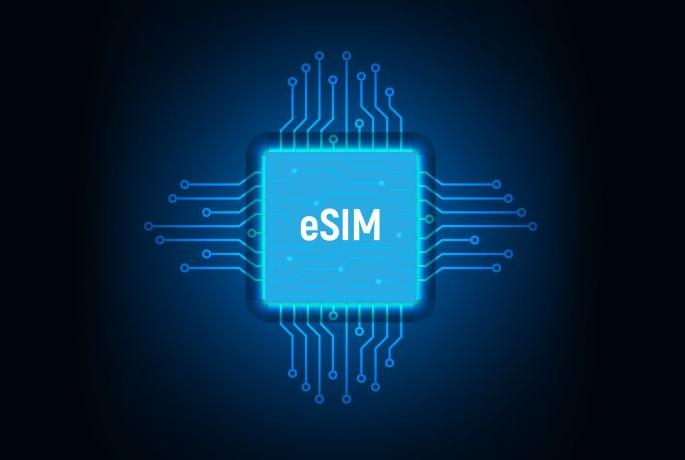 should you use e sim know about its benefits | तुम्ही ई-सिमचा वापर करायला हवा का?