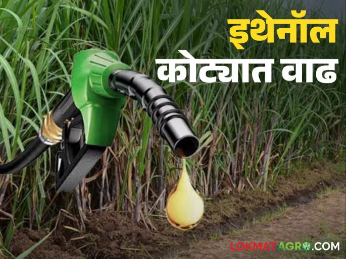 Decision to provide 650 crore liters of ethanol quota for sugar industry this year; How will farmers benefit? | साखर उद्योगासाठी यंदा ६५० कोटी लिटर इथेनॉलचा कोटा देण्याचा निणर्य; शेतकऱ्यांना कसा होणार फायदा?