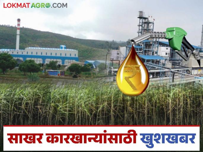 Big news for ethanol producing sugar factories; Now farmers will get a good price for sugarcane? | इथेनॉल उत्पादक साखर कारखान्यांसाठी मोठी खबर; आता शेतकऱ्यांच्या उसाला मिळेल चांगला दर? Big news for ethanol producing sugar factories; Now farmers will get a good price for sugarcane? | इथेनॉल उत्पादक साखर कारखान्यांसाठी मोठी खबर; आता शेतकऱ्यांच्या उसाला मिळेल चांगला दर?