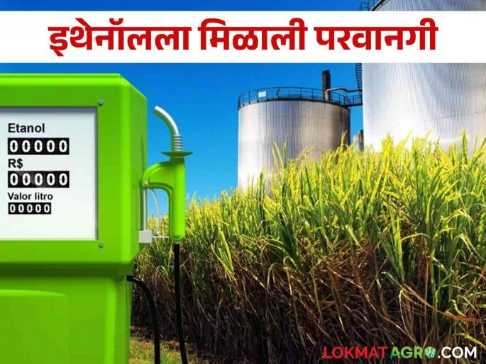Ethanol Production: Allowed for ethanol production from sugarcane juice, molasses | Ethanol Production : उसाचा रस, मोलॅसिसपासून इथेनॉल निर्मितीस परवानगी Ethanol Production: Allowed for ethanol production from sugarcane juice, molasses | Ethanol Production : उसाचा रस, मोलॅसिसपासून इथेनॉल निर्मितीस परवानगी