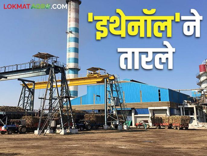 Sugar factories saved by ethanol; Will farmers get money as per FRP? | साखर कारखान्यांना इथेनॉलने तारले; शेतकऱ्यांना एफआरपी प्रमाणे पैसे मिळणार का? Sugar factories saved by ethanol; Will farmers get money as per FRP? | साखर कारखान्यांना इथेनॉलने तारले; शेतकऱ्यांना एफआरपी प्रमाणे पैसे मिळणार का?