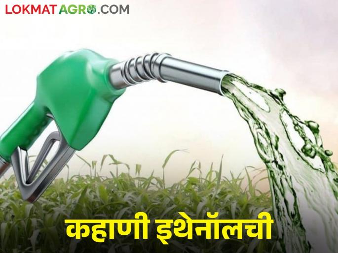 If less is crushing, where will ethanol production from sugarcane juice come from? | गाळप झाले कमी तर कुठून होणार उसाच्या रसापासून इथेनॉल निर्मिती If less is crushing, where will ethanol production from sugarcane juice come from? | गाळप झाले कमी तर कुठून होणार उसाच्या रसापासून इथेनॉल निर्मिती