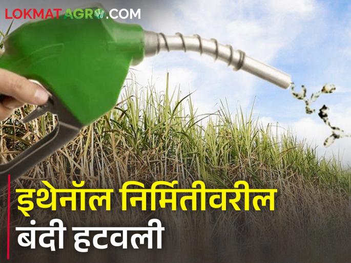 Central Government withdraws ban on ethanol production; Limit of 17 lakh tonnes of sugar | केंद्राकडून इथेनॉल निर्मितीवरील बंदी मागे; १७ लाख टन साखरेची मर्यादा Central Government withdraws ban on ethanol production; Limit of 17 lakh tonnes of sugar | केंद्राकडून इथेनॉल निर्मितीवरील बंदी मागे; १७ लाख टन साखरेची मर्यादा