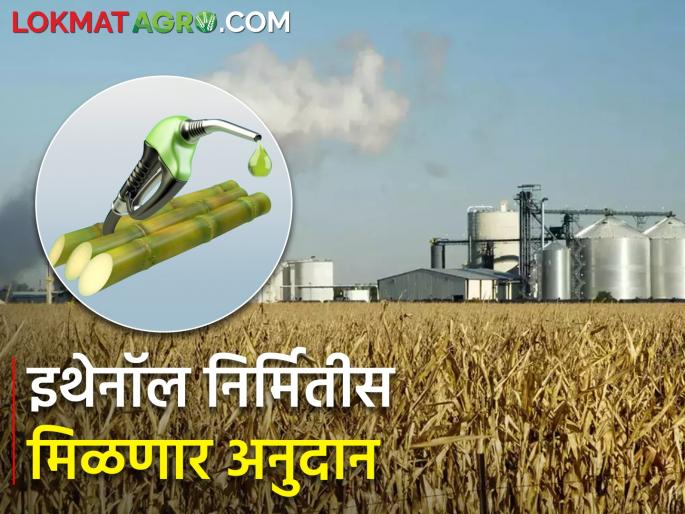 Subsidy of Rs 6.87 per liter for C heavy ethanol production | सी हेवी इथेनॉल निर्मितीस लिटरमागे ६.८७ रुपये अनुदान Subsidy of Rs 6.87 per liter for C heavy ethanol production | सी हेवी इथेनॉल निर्मितीस लिटरमागे ६.८७ रुपये अनुदान