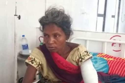 Masculine! The woman joined hands with the bear to save her husband | मर्दानी! पतीला वाचवण्यासाठी महिलेने अस्वलांशी केले दोन हात Masculine! The woman joined hands with the bear to save her husband | मर्दानी! पतीला वाचवण्यासाठी महिलेने अस्वलांशी केले दोन हात