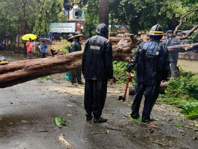 Traffic jam on Bhuigaon Nirmal road for some time | भुईगाव निर्मळ रस्त्यावर काही काळ वाहतूक कोंडी; पालिका अग्निशमन दलाच्या जवानांचे दिवसरात्र मदतकार्य Traffic jam on Bhuigaon Nirmal road for some time | भुईगाव निर्मळ रस्त्यावर काही काळ वाहतूक कोंडी; पालिका अग्निशमन दलाच्या जवानांचे दिवसरात्र मदतकार्य