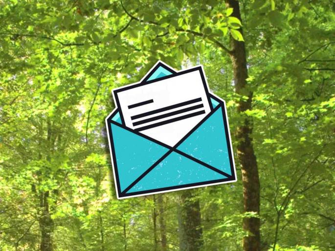 Environmentalists want assurance of nature conservation in election manifesto; An open letter to political parties | पर्यावरणप्रेमींना निवडणूक जाहीरनाम्यात हवी निसर्ग संवर्धनाची हमी; राजकीय पक्षांना खुले पत्र Environmentalists want assurance of nature conservation in election manifesto; An open letter to political parties | पर्यावरणप्रेमींना निवडणूक जाहीरनाम्यात हवी निसर्ग संवर्धनाची हमी; राजकीय पक्षांना खुले पत्र