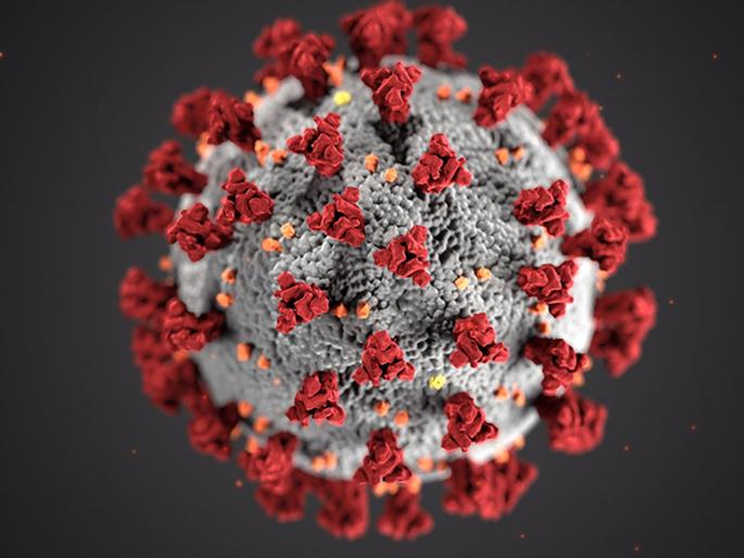 CoronaVirus is changing its type; 11th form is very dangerous hrb | CoronaVirus धोक्याचे! कोरोना दिवसेंदिवस अवतार बदलतोय; ११ वे रुप खूपच खतरनाक CoronaVirus is changing its type; 11th form is very dangerous hrb | CoronaVirus धोक्याचे! कोरोना दिवसेंदिवस अवतार बदलतोय; ११ वे रुप खूपच खतरनाक