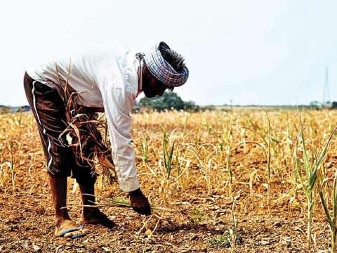 End of hope to get exgratia from agri department | अतिवृष्टीच्या नुकसानभरपाईची आशा मावळली ! End of hope to get exgratia from agri department | अतिवृष्टीच्या नुकसानभरपाईची आशा मावळली !