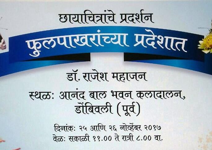 Free photographic photographs of Dombivli filling of flowers: More than 800 species of different species of butterflies, moth, insect photographs are included. | डोंबिवलीत भरणार फुलपाखरांच्या छायाचित्रांचे विनामूल्य प्रदर्शन : ८००हून अधिक विविध जाती-प्रजातींच्या फुलपाखर, पतंग, किटकांच्या छायाचित्रांचा समावेश