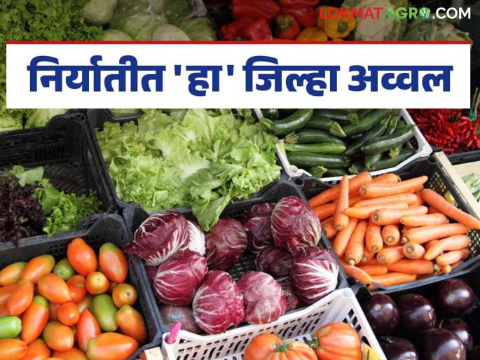 Agricultural product Export : Buldhana district leads in exports in Amravati division; Exports worth 'so many' crores Read in detail | Agricultural product Export : निर्यातीत बुलढाणा जिल्हा अमरावती विभागात अग्रेसर; 'इतक्या' कोटींची निर्यात वाचा सविस्तर Agricultural product Export : Buldhana district leads in exports in Amravati division; Exports worth 'so many' crores Read in detail | Agricultural product Export : निर्यातीत बुलढाणा जिल्हा अमरावती विभागात अग्रेसर; 'इतक्या' कोटींची निर्यात वाचा सविस्तर